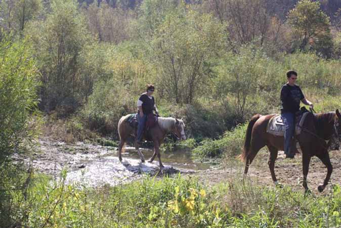 Crossing the Stream on Horseback